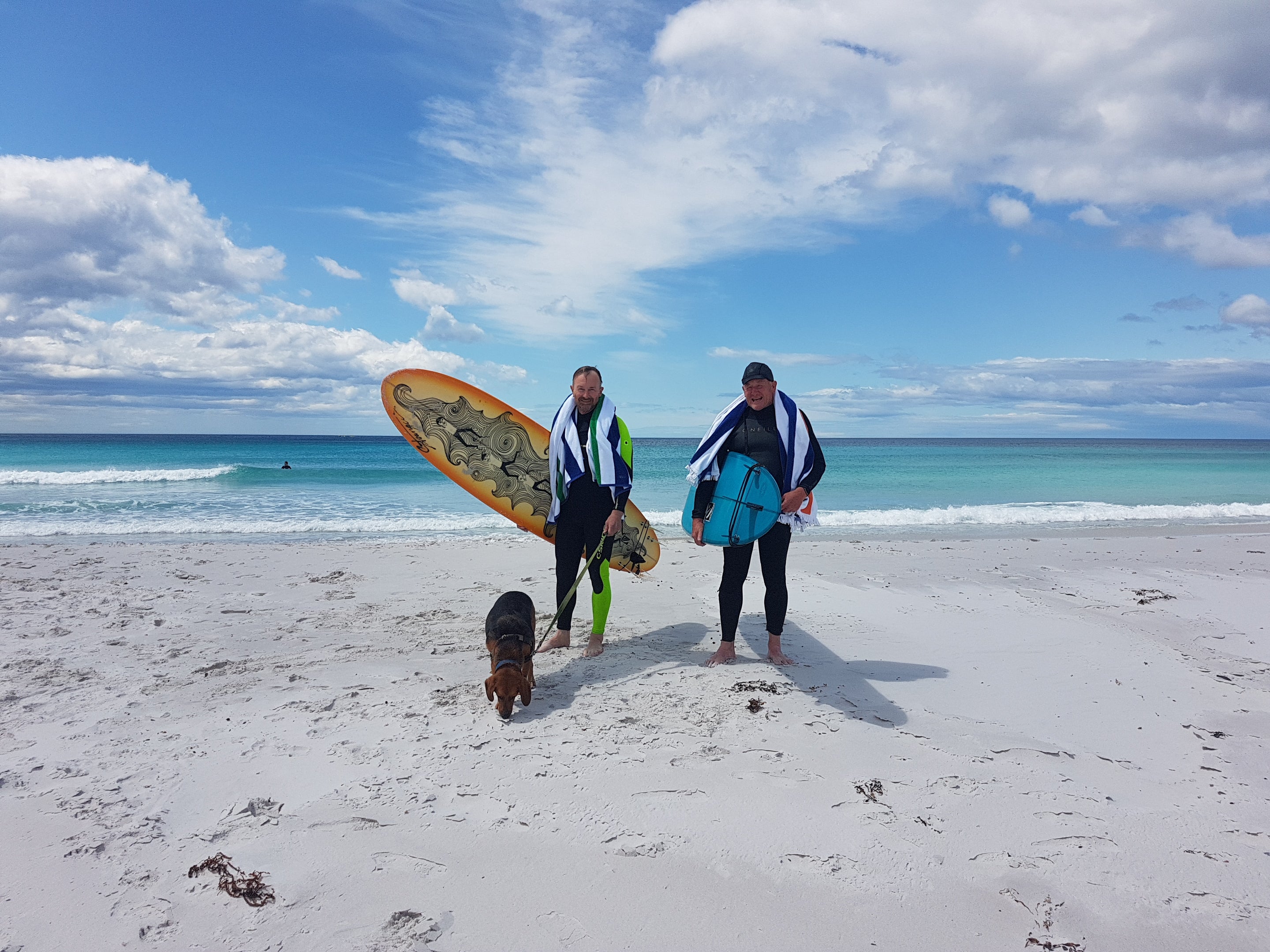 surfers in wetsuits, towels, dog on the beach