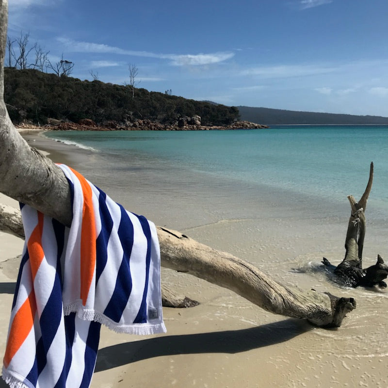 The Freycinet