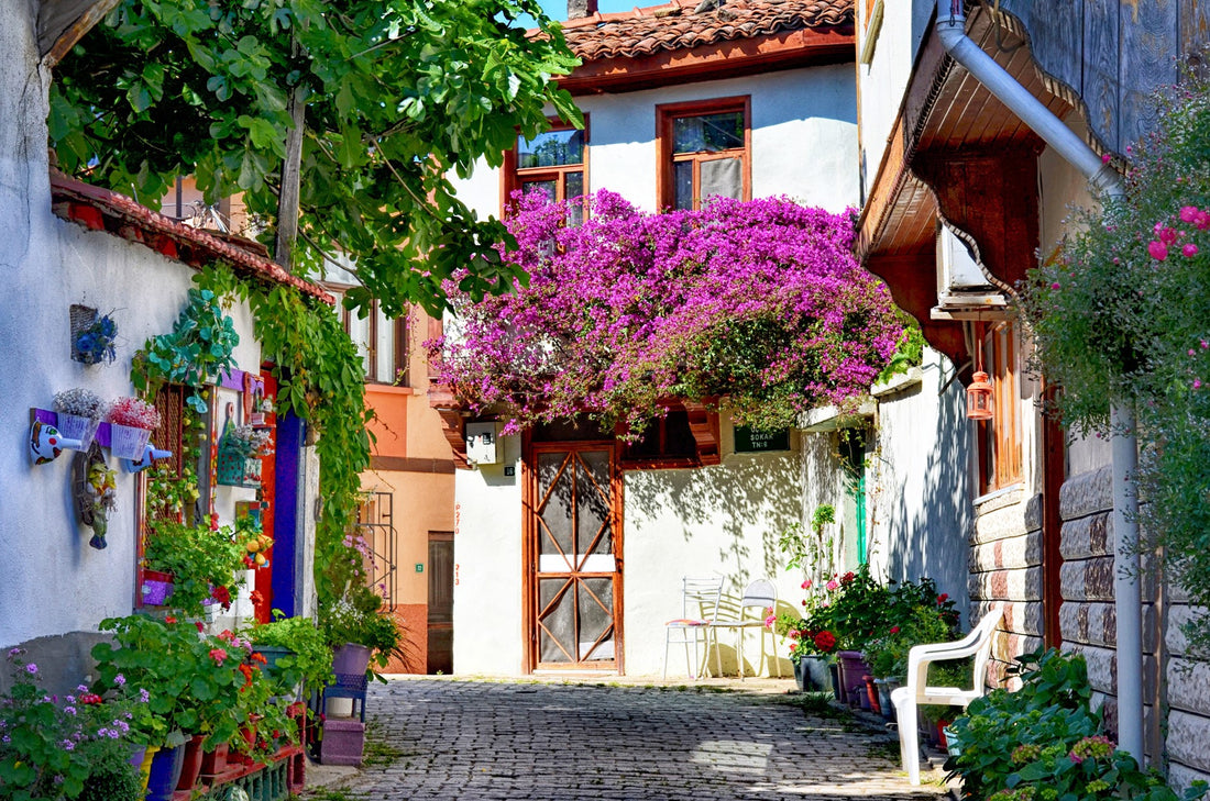 a street in Turkey